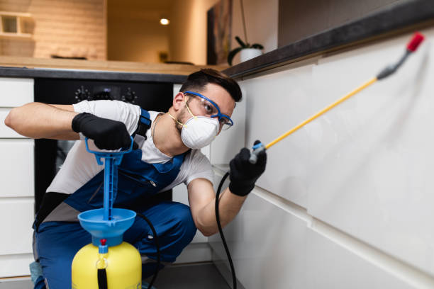 Best Cockroach Control Services  in Long Grove, IA