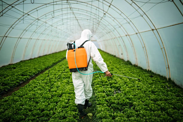 Best Best Pest Control Companies  in Long Grove, IA