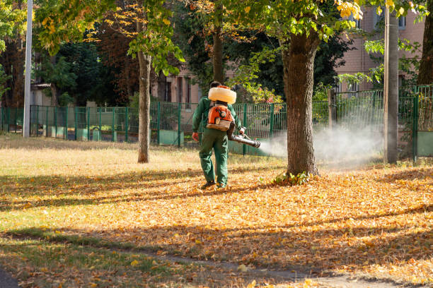 Flea Control Services in Long Grove, IA